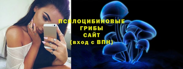соль ск Нязепетровск
