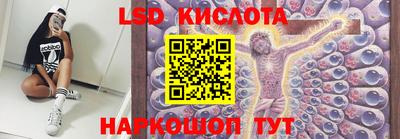 тгк Камышлов