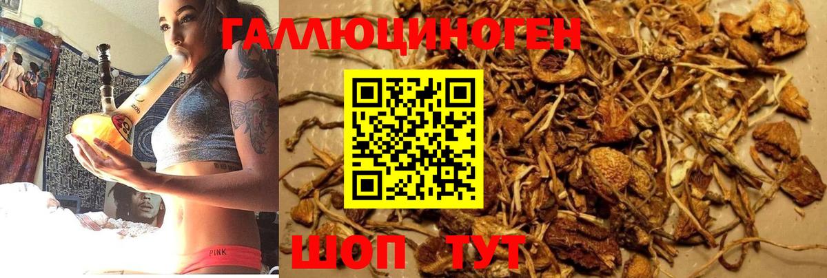 Псилоцибиновые грибы GOLDEN TEACHER  Псилоцибиновые грибы MAGIC MUSHROOMS  Краснодар 