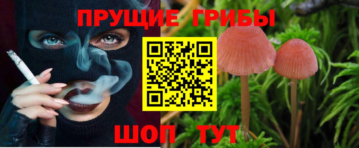 Псилоцибиновые грибы MAGIC MUSHROOMS Краснодар